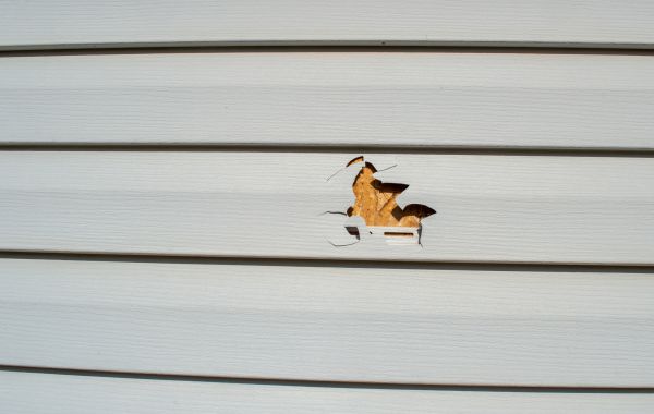 Siding Hole Patching in Rowlett